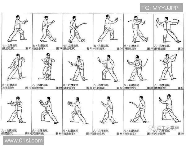 初学太极拳视频教学入门指南轻松掌握基本动作与技巧